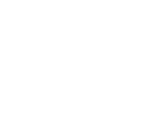 acsi logo